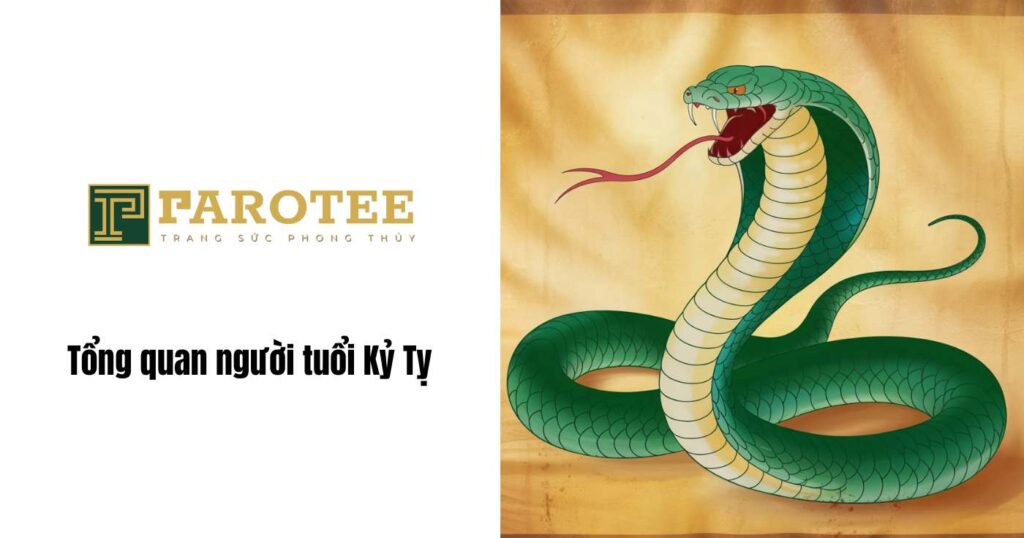 Tổng quan người tuổi Kỷ Tỵ sinh năm 1989