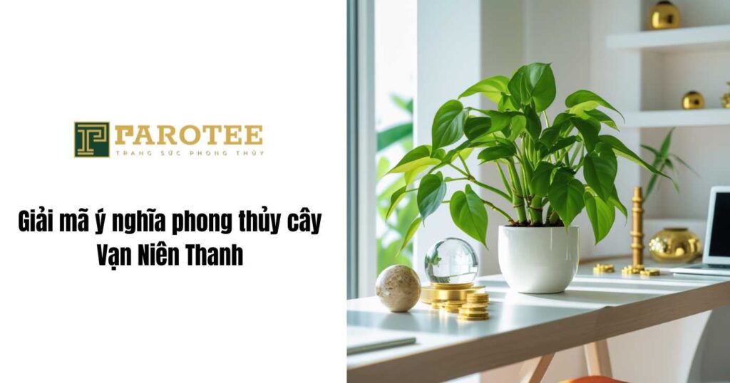 Giải mã ý nghĩa phong thủy cây vạn niên thanh 