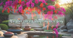 ý nghĩa phong thủy của cây hoa giấy