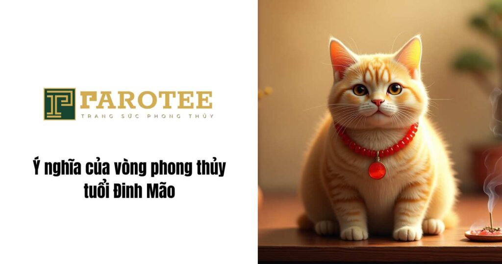 Ý nghĩa của vòng phong thủy tuổi Đinh Mão